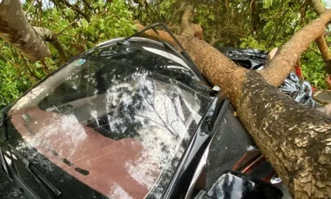 Dông lốc gây thiệt hại ở khu vực thị xã Nghĩa Lộ cũ, tỉnh Lào Cai