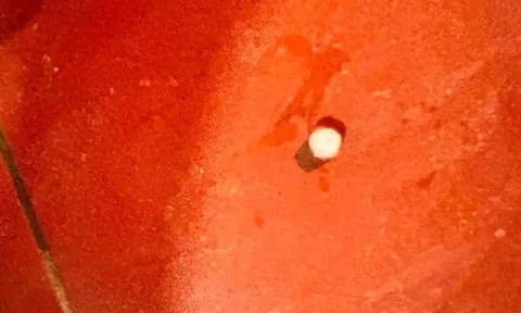 Hiện tượng bất thường, 30 năm mới thấy ở Thanh Hóa