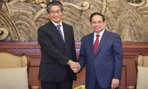 Thủ tướng Phạm Minh Chính tiếp Đại sứ Nhật Bản tại Việt Nam