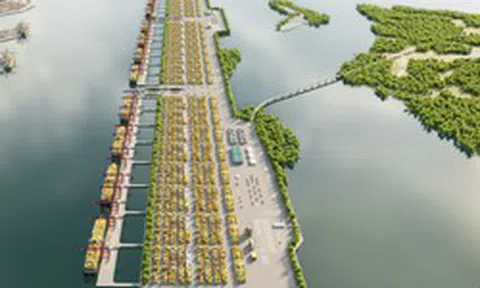 Tổng Công ty Hàng hải Việt Nam ước tính siêu cảng Cần Giờ sẽ hoàn vốn trong 24 năm