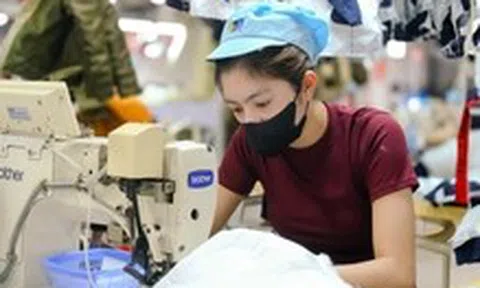 Dành '8 giờ làm có lương' cho công nhân đi học chính trị, pháp luật