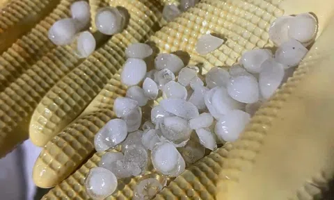 Mưa đá, giông lốc ở Quảng Ninh khiến hai người tử vong