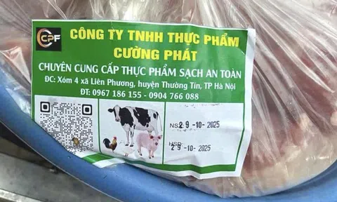 Vụ 300 tấn thịt lợn bệnh tuồn vào trường học, Bộ Y tế chỉ đạo nóng