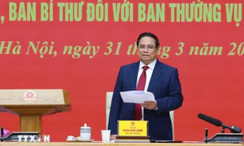 Báo cáo kiểm tra, giám sát đối với Ban thường vụ Đảng ủy Chính phủ