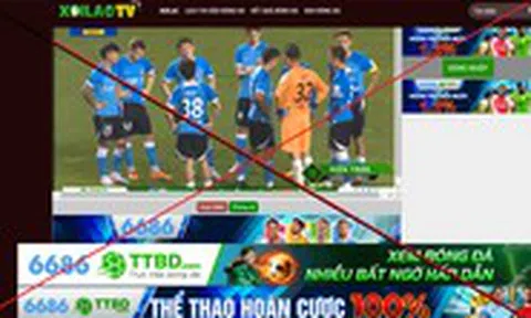 Vi phạm bản quyền: Đã biết sợ