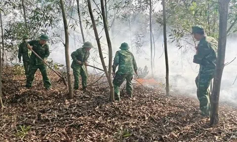 Cháy rừng giữa nắng nóng, hơn 1,5 ha tràm ở Quảng Trị bị thiêu rụi