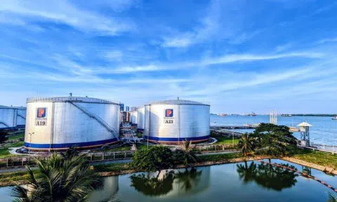 Việt Nam triển khai ngoại giao năng lượng, ứng phó với "cú sốc" từ Trung Đông