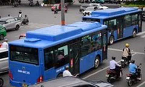 Xe buýt miễn phí: đầu tư cho tương lai