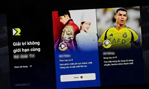 Web phim lậu lớn nhất Việt Nam đóng cửa