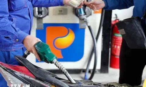 Việt Nam giữ vững phòng tuyến xăng dầu giữa 'bão giá' thế giới