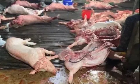 Bao nhiêu trường phường Thanh Liệt dùng thịt lợn của Cường Phát?