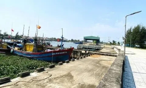 Vì sao cảng cá 120 tỷ ở Đà Nẵng xây xong 'chỉ để ngắm'?