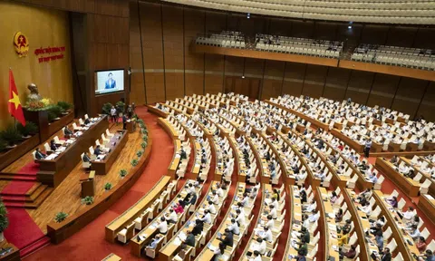 Nghiên cứu tổng kết, sửa đổi tổng thể Hiến pháp 2013