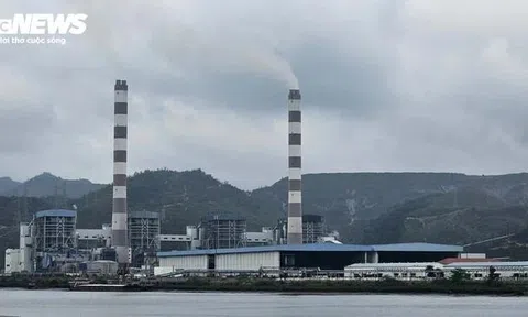 Vì sao Nhà máy nhiệt điện Quảng Ninh vẫn hoạt động dù vi phạm xả thải?