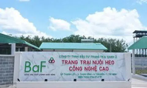Nông nghiệp BAF hướng đến mức lợi nhuận kỷ lục, chia cổ tức và cổ phiếu thưởng tổng tỷ lệ 20%