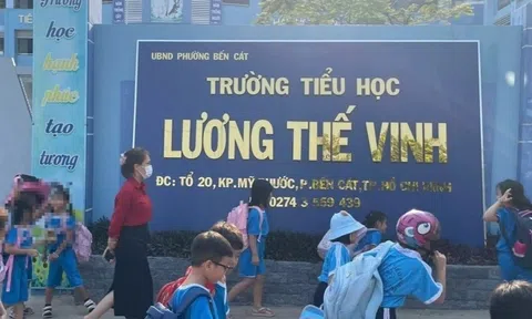 Đình chỉ giáo viên phạt học sinh tự chích kim tiêm vào tay ở TP.HCM