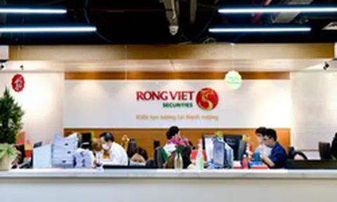 Loạt công ty chứng khoán đón cổ đông lớn mới: Từ cá nhân bí ẩn tới sự đồng hành chiến lược