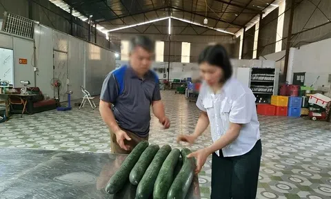 Tiết lộ 'hoa hồng' cho hiệu trưởng để tuồn thịt lợn bệnh vào trường