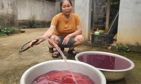 Nhân viên nhà máy giặt ngủ quên, khiến nước giếng khoan đổi màu tím