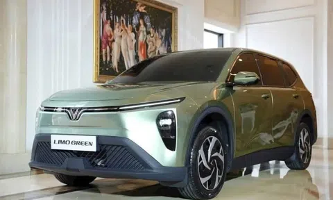 Sau VF MPV 7, VinFast mang loạt xe điện mới đổ bộ Ấn Độ