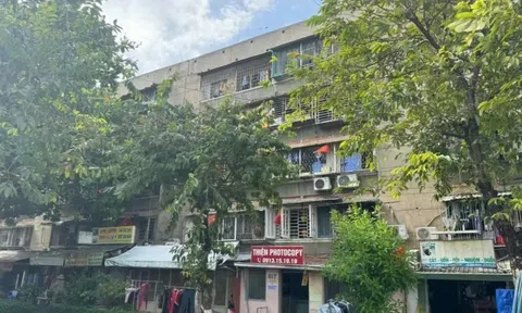 TP.HCM 'thúc' tiến độ cải tạo chung cư cũ