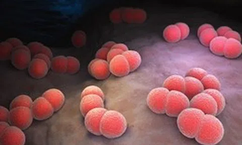 Hoàn thành khống chế, kết thúc ổ dịch viêm não mô cầu tại Trại giam Cái Tàu