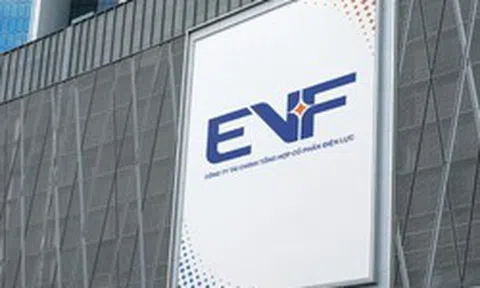 EVF duy trì đà tăng trưởng, lợi nhuận quý I/2026 tăng 8,1%