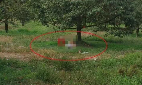 Người đàn ông ở Đồng Nai tử vong dưới gốc cây, bên cạnh có súng hơi