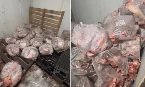 Chặn hơn 500 kg thịt bốc mùi chuẩn bị tuồn ra thị trường