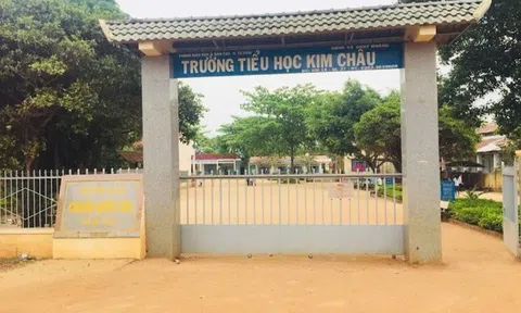 Chỉ đạo giả mạo chữ ký, một hiệu trưởng tiểu học bị cách chức