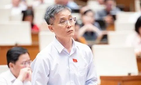 Thí điểm luật sư công tại 8 bộ, 10 địa phương: Cần một cơ quan điều phối chung để hiệu quả