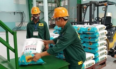 Phân bón Bình Điền (BFC): Bị phạt và truy thu hơn 3,6 tỷ đồng tiền thuế, vay nợ tăng vọt 77%
