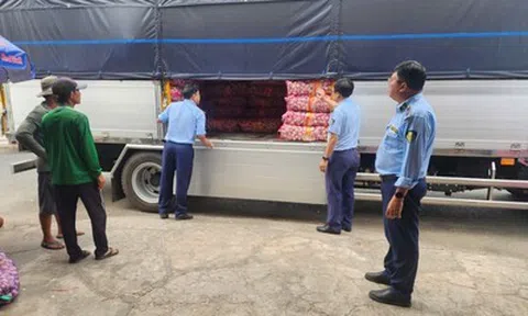 An Giang: Xử lý 85 vụ vi phạm hành chính, thu nộp ngân sách 1,32 tỷ đồng trong tháng 4/2026