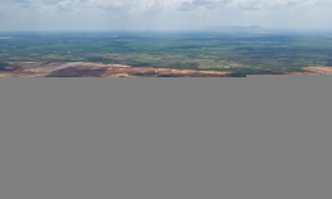 Long Thành có gì trước tham vọng định hình đô thị sân bay phía Nam?