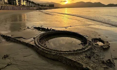 Nhận định ban đầu về vật thể trồi lên bãi biển Quy Nhơn