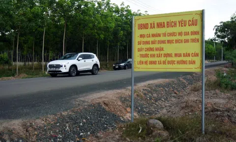 Lý do đất nền phân lô bán cắt lỗ vẫn không có người mua