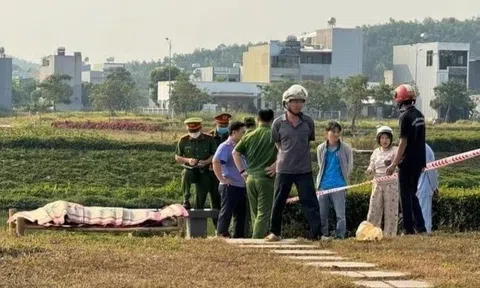 Phát hiện thi thể bé gái 15 tuổi dưới hồ sinh thái