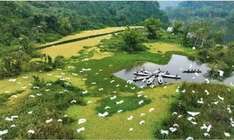 Sự thực Vườn chim Thung Nham được chuyển nhượng giá hàng triệu USD