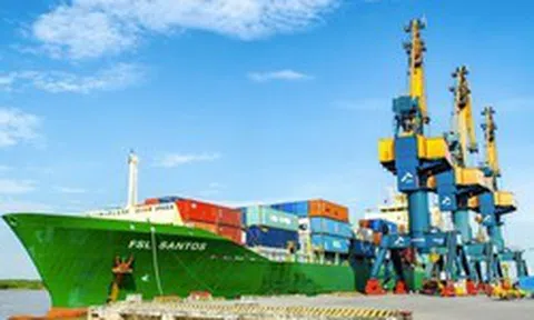 Quỹ Leadvisors trở thành cổ đông lớn của Viconship