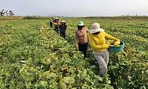 Nhà không cần khóa cửa, hàng xóm mang qua mang lại tô canh nóng, thời đó đã thành xa xưa?