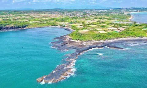 Quảng Ngãi: Chặn khai thác hải sản tận diệt ở Gành Yến, mở lối sống mới cho dân biển