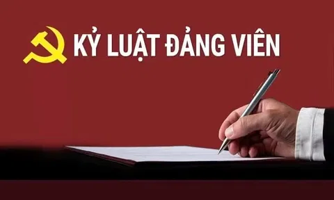Kỷ luật Phó giám đốc Ban Quản lý dự án ở Tuyên Quang