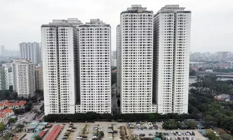 Chủ đầu tư HH Linh Đàm nói gì về khảo sát 'trả nhà, đổi nhà'?