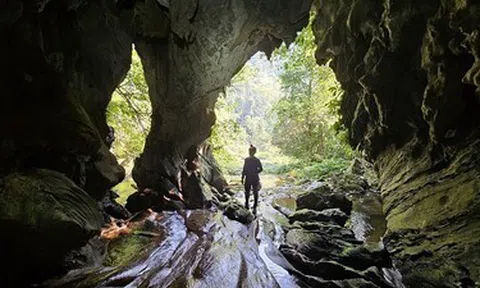 Quảng Trị: Phát hiện cửa hang khổng lồ ở Phong Nha – Kẻ Bàng, lộ dấu tích dòng chảy cổ