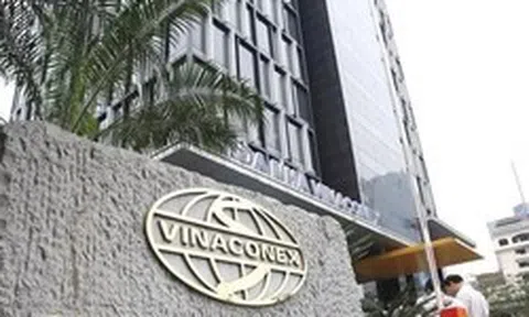 Ông Nguyễn Xuân Đông từ chức, Vinaconex bổ nhiệm Tổng Giám đốc mới
