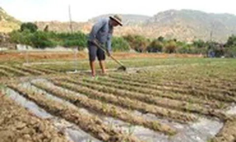 Nước về 'rốn hạn', hồi sinh vùng đất khát ở Ninh Thuận