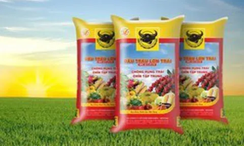 Cổ phiếu phân bón “ngược sóng”, hút mạnh dòng tiền trong phiên thị trường chứng khoán “rực lửa”