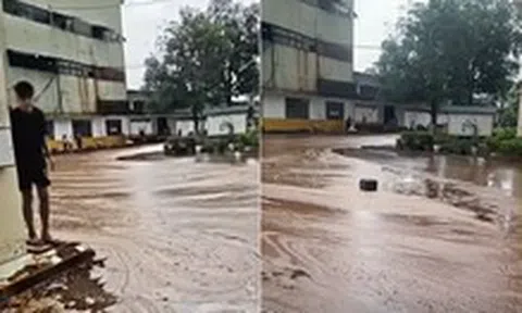 Sét đánh trúng nhà máy đường, hàng ngàn tấn mật tràn ra ngoài