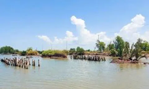 Vụ đê biển Tây bị sạt lở, bể đứt đoạn: Lãnh đạo tỉnh An Giang chỉ đạo khẩn trương khắc phục