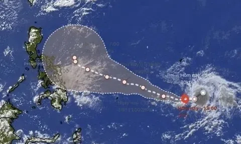 Bão Hagupit ít khả năng vào Biển Đông